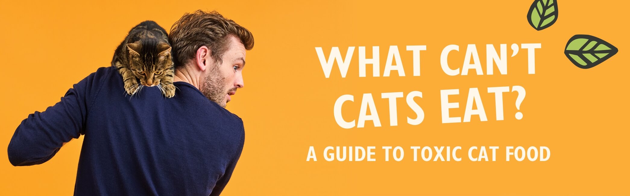 What can't cats eat? A guide to toxic cat foods with Rory the Vet