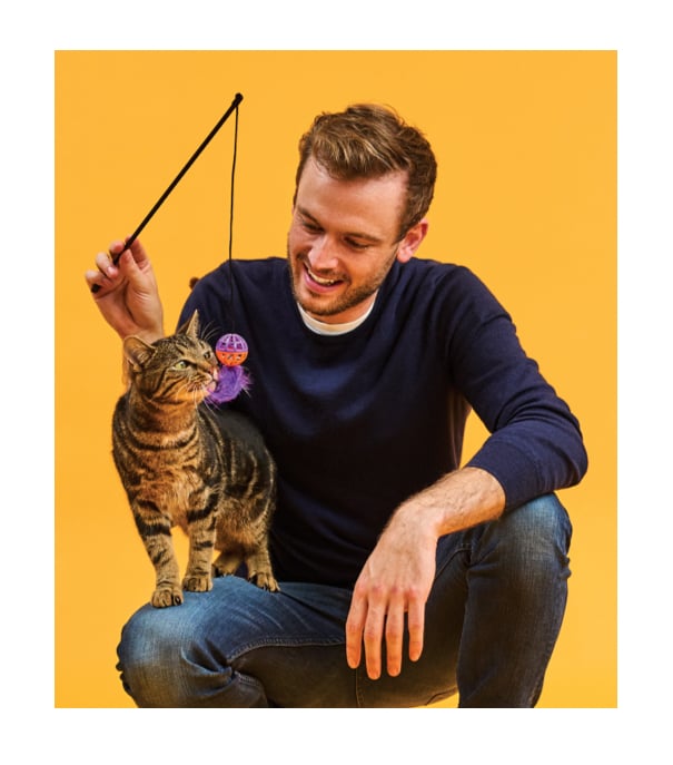picture of Rory The Vet playing with a cat