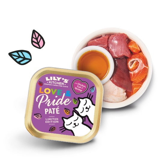 Love & Pride Paté for Cats 