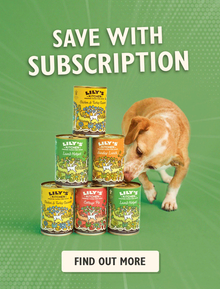 Natural Wet Dog Food Soft dog Food Lily's Kitchen