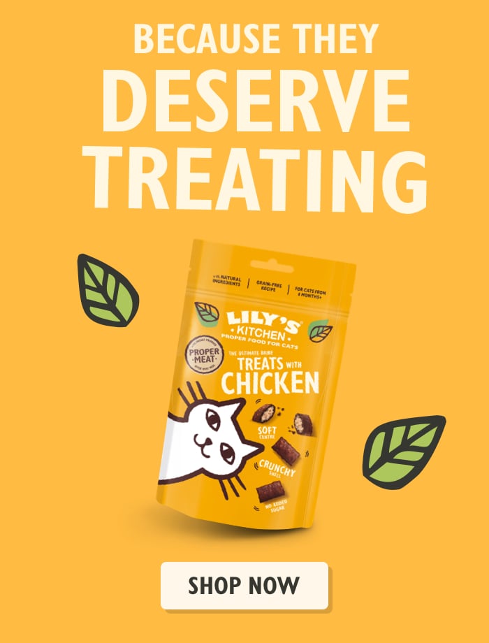 2025 Treat Campaign