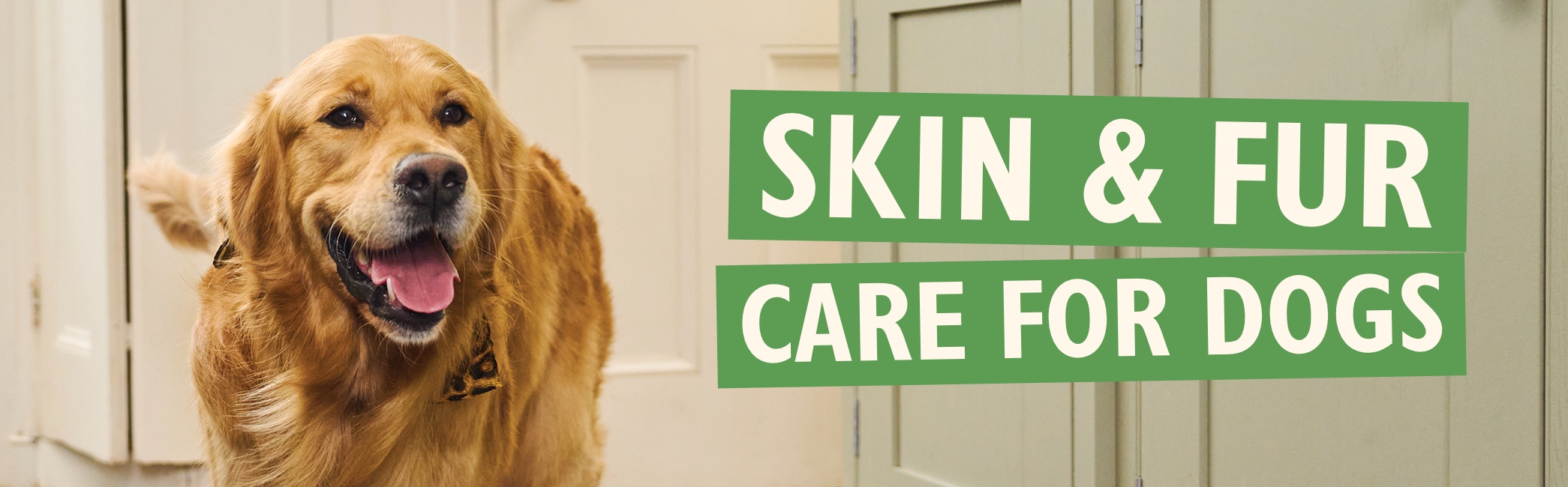 Skin & fur care for dogs