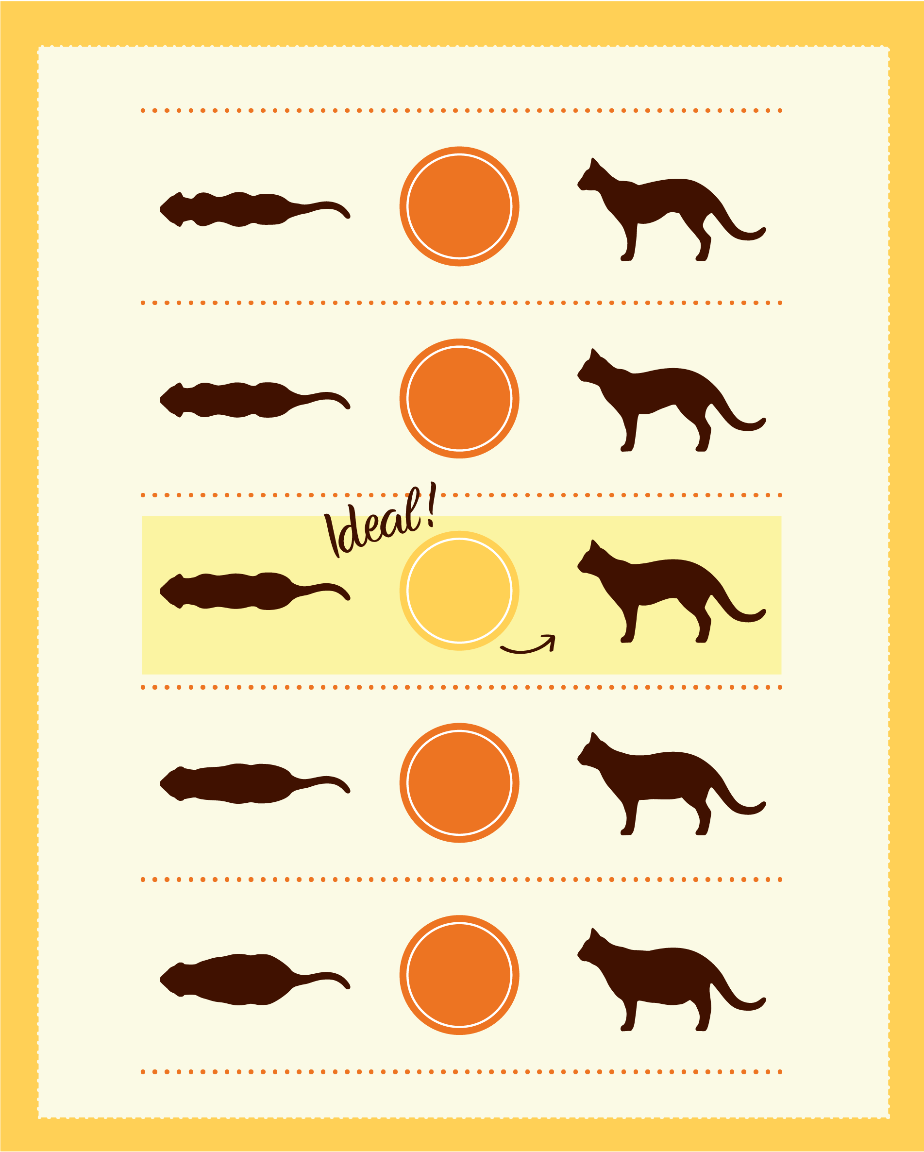 Cat obesity assessment