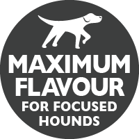 maximumflavourforfocusedhounds.png