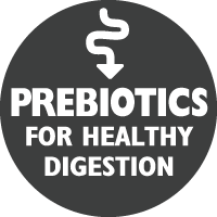 images\key-benefits\prebioticsforhealthydigestion.png