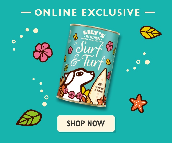Surf & Turf Wet Food for Dogs