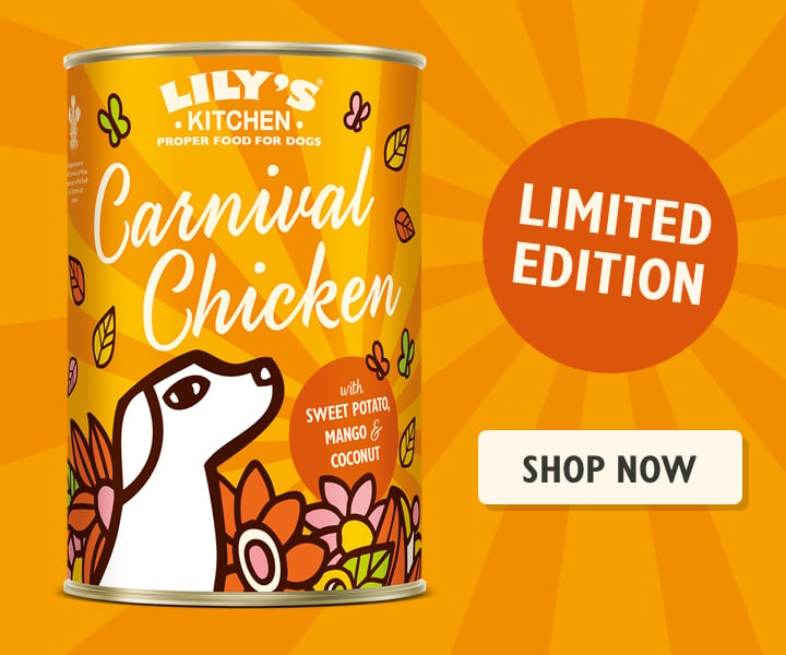 Carnival Chicken Wet Food for Dogs